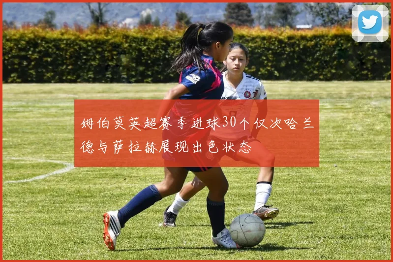 姆伯莫英超赛季进球30个仅次哈兰德与萨拉赫展现出色状态